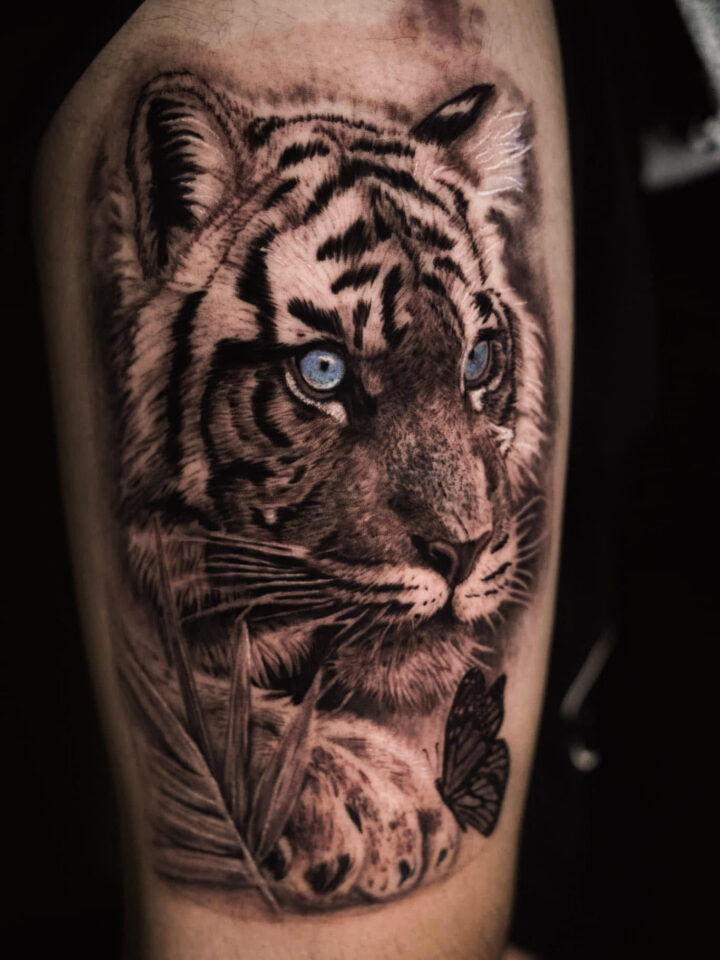 custom black and grey realism tiger