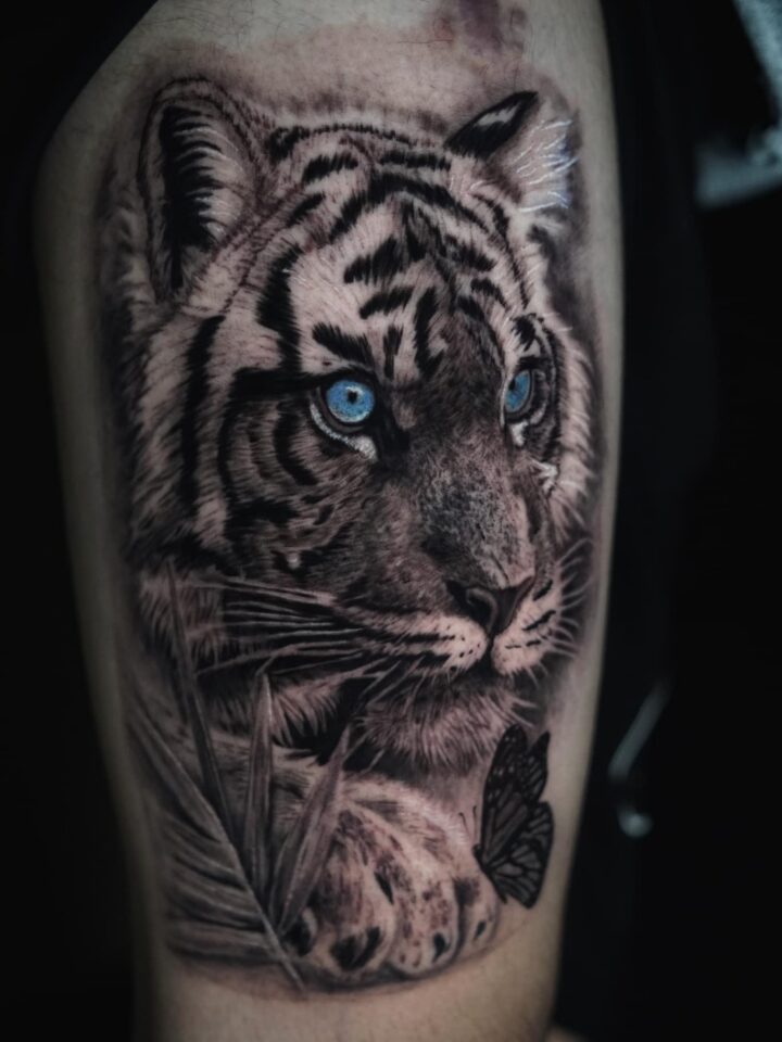 Close up of a realistic white tiger cub tattoo on an arm