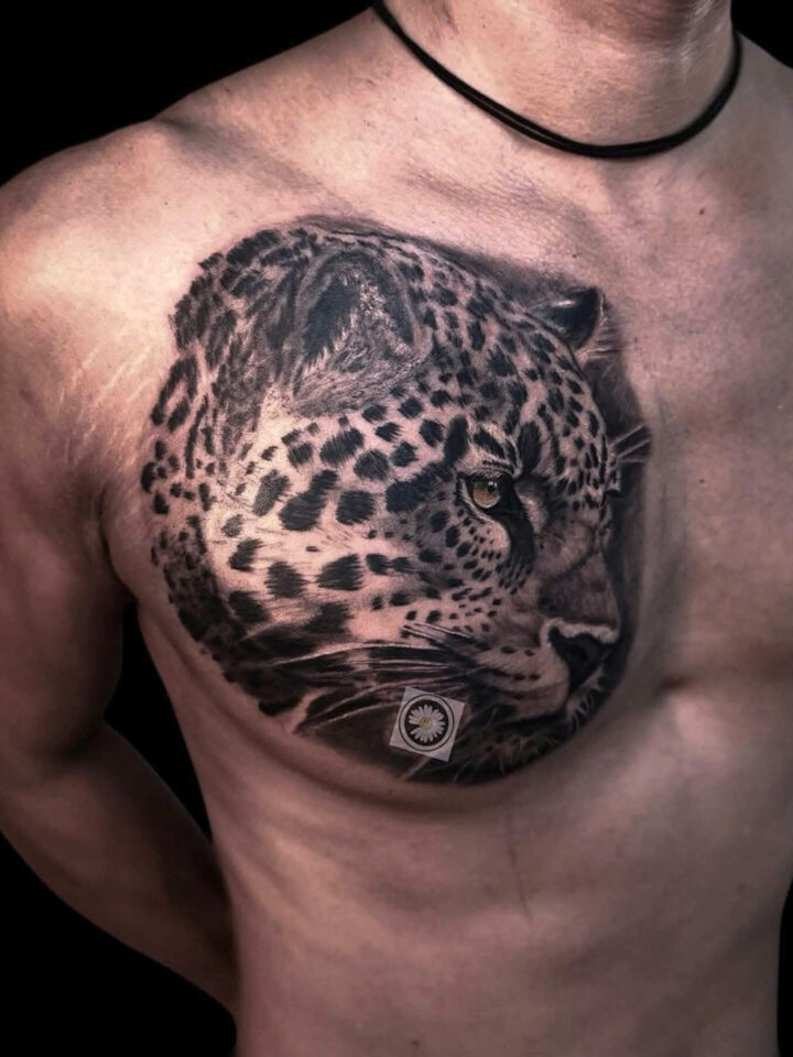 Black and grey realism leopard portrait tattooed across a chest